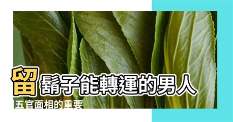 下巴留鬍子面相|留鬍鬚改運？面相大揭秘